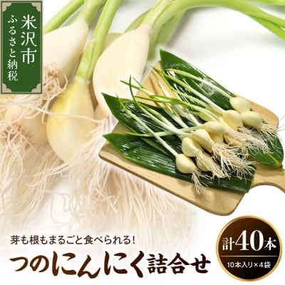 つのにんにく 10本 × 4袋 計40本 発芽にんにく 水耕 栽培 スプラウト ニンニク