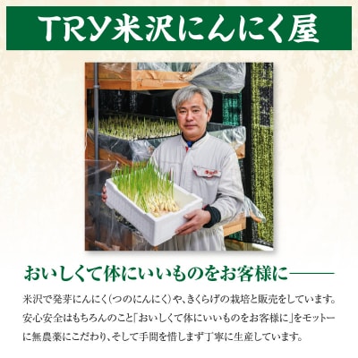 つのにんにく 10本 × 4袋 計40本 発芽にんにく 水耕 栽培 スプラウト ニンニク