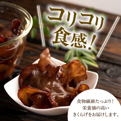 乾燥きくらげ 20g × 3袋 計60g きくらげ 乾燥 キクラゲ 木耳 きのこ 国産 室内 栽培