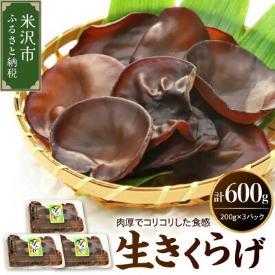 期間限定 生きくらげ 200g × 3パック 計600g 2026年6月～10月中旬頃 お届け予定