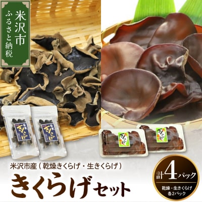 きくらげセット計4パック(生きくらげ、乾燥きくらげ 各2パック) 2026年6月～10月中旬頃お届け