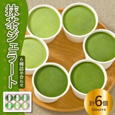 抹茶 ジェラート 6個 詰合せ ( 1個 120ml )