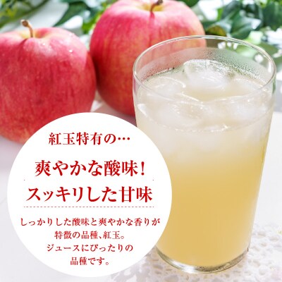 舘山りんご 紅玉 100% りんごジュース 720ml × 2本 セット 果汁100%