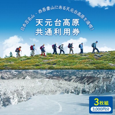 天元台高原 共通利用券 3枚組 ( 3千円分 )