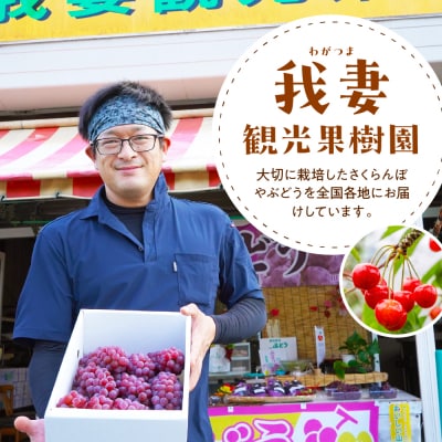 【先行受付】令和8年産 大粒ぶどう詰合せ 4種類 2.5kg 4房 品種おまかせ