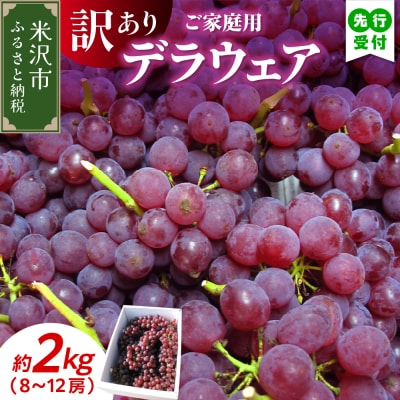 【先行受付】令和8年産 家庭用 訳あり ぶどう デラウェア 2kg ( 8～12房 ) 
