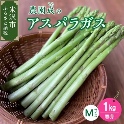 【 令和7年産 春芽 】 アスパラガス M 1kg ( 細物 M以下 )