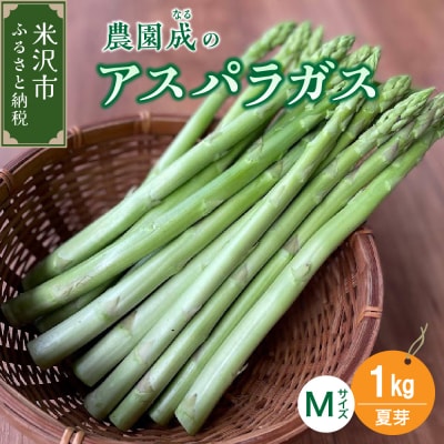 《先行受付》【令和8年産 夏芽】アスパラガスM 1kg(細物M以下)2026年7月中旬頃～発送予定