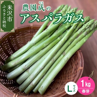《 先行予約 》【 令和8年産 春芽 】 アスパラガス L 1kg ( 太物 L以上 ) 