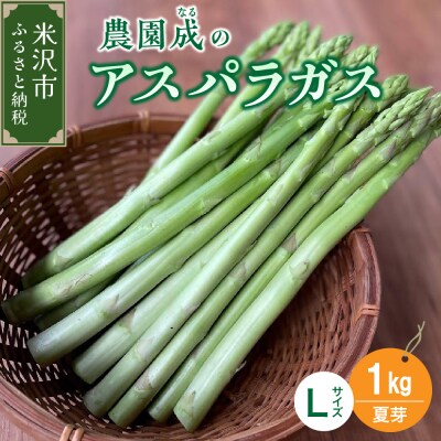 《 先行受付 》【 令和7年産 夏芽 】 アスパラガス L 1kg ( 太物 L以上 )