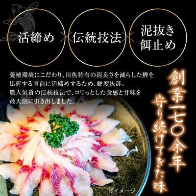 鯉のあらい 6人前 10枚 × 6パック 計60枚 川魚 刺身 鯉