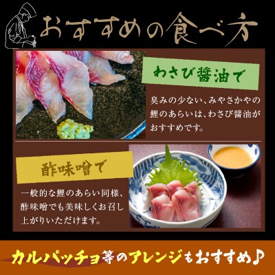 鯉のあらい 6人前 10枚 × 6パック 計60枚 川魚 刺身 鯉