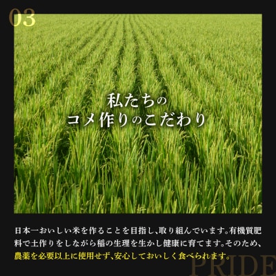 【令和7年産】 つや姫 5kg 特別栽培米 【栽培期間中化学肥料不使用・節減対象農薬:当地比9割減】