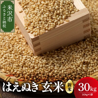【令和7年産】 はえぬき 玄米 30kg ( 30kg × 1袋 ) 2025年産 米沢産