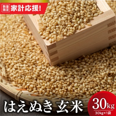 【令和7年産】 はえぬき 玄米 30kg ( 30kg × 1袋 ) 2025年産 米沢産