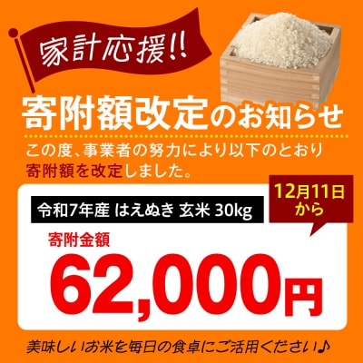 【令和7年産】 はえぬき 玄米 30kg ( 30kg × 1袋 ) 2025年産 米沢産
