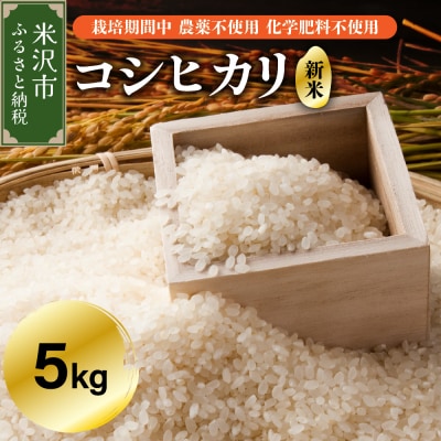 【令和7年産】 コシヒカリ 5kg 【栽培期間中農薬不使用・化学肥料不使用】 