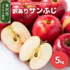 【先行受付】令和7年産 訳あり りんご(サンふじ)5kg 2025年11月中旬～ お届け ご家庭用 