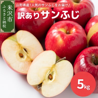 【先行受付】令和7年産 訳あり りんご(サンふじ)5kg 2025年11月中旬～ お届け ご家庭用 