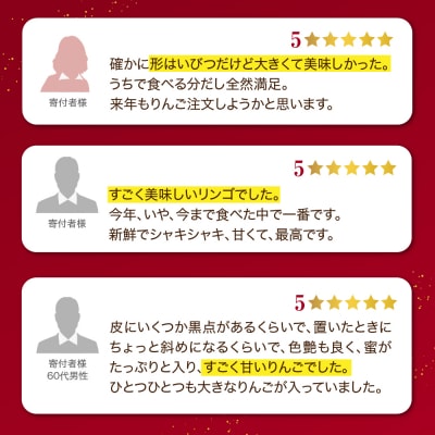【先行予約】令和8年産 訳あり りんご サンふじ 約5kg2026年11月中旬～12月上旬頃 お届け