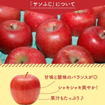 【先行予約】令和8年産 訳あり りんご サンふじ 約5kg 玉数 お任せ ご家庭用