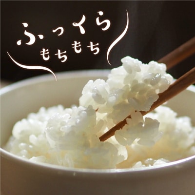 【 令和6年産 】 特別栽培米 つや姫 計 6kg ( 2kg × 3袋 ) 