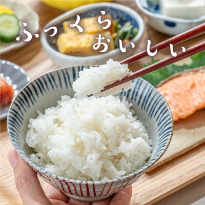 【 令和6年産 】 コシヒカリ 計 10kg ( 5kg × 2袋 )