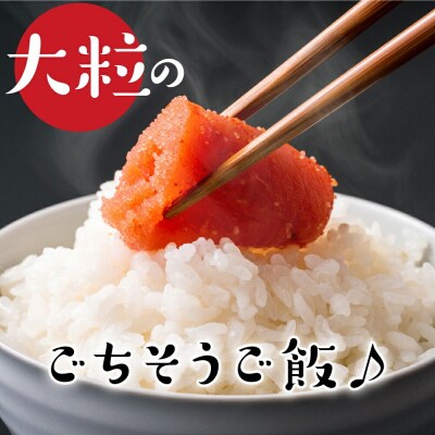 【 令和6年産 】 雪若丸 計 8kg ( 2kg × 4袋 ) 