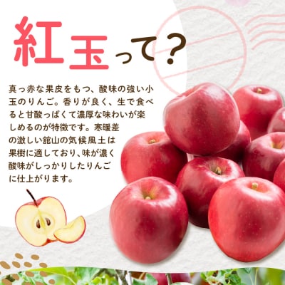 【先行受付】 令和8年産 紅玉 りんご 約2kg 9玉 ～ 13玉 舘山りんご