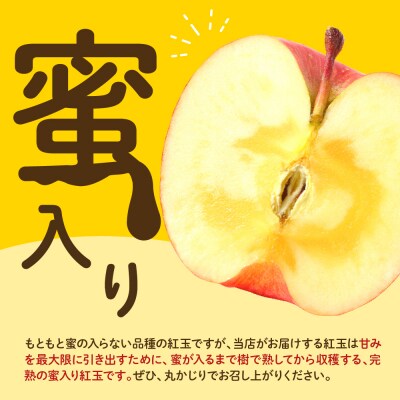 【先行受付】 令和8年産 紅玉 りんご 約2kg 9玉 ～ 13玉 舘山りんご