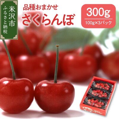 《先行受付》令和7年産 品種おまかせ さくらんぼ 300g ( 100g × 3パック ) 