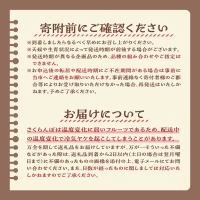 《先行受付》令和7年産 品種おまかせ さくらんぼ 300g ( 100g × 3パック ) 