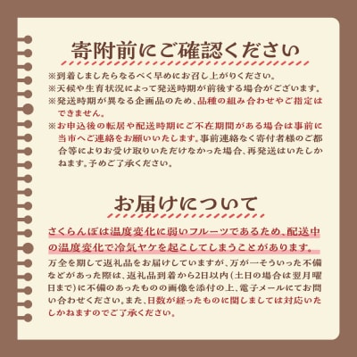 【先行受付】 令和8年産 さくらんぼ 300g ( 100g × 3パック ) 品種おまかせ