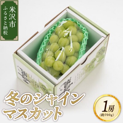 【先行受付】 令和8年産 冬のシャインマスカット 1房 約700g