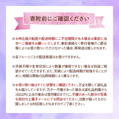 【先行受付】定期便 令和8年産 ぶどうの定期便 全3回 配送