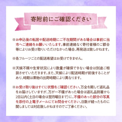 【先行受付】定期便 令和8年産 ぶどうの定期便 全3回 配送