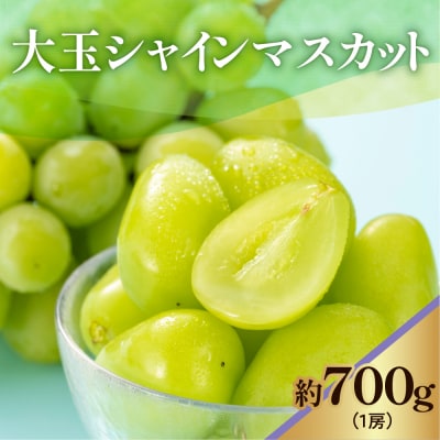 《先行受付/令和7年産》数量限定 大玉シャインマスカット1房700g〔2025年9月頃～お届け〕