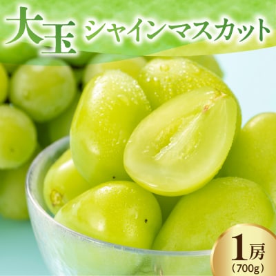 【先行予約】 【数量限定】 令和8年産 大玉 シャインマスカット 1房 700g