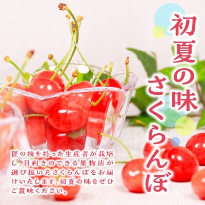【先行受付】 令和8年産 さくらんぼ やまがた紅王 紅秀峰 詰合せ 各200g 計400g
