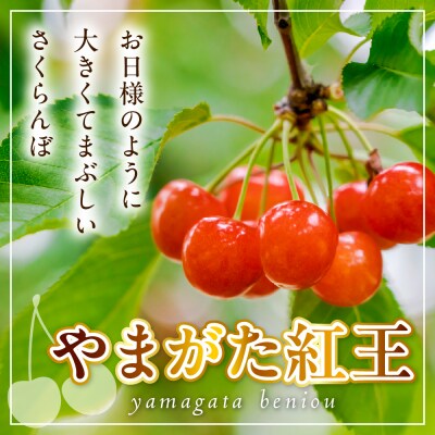 【先行受付】 令和8年産 さくらんぼ やまがた紅王 紅秀峰 詰合せ 各200g 計400g