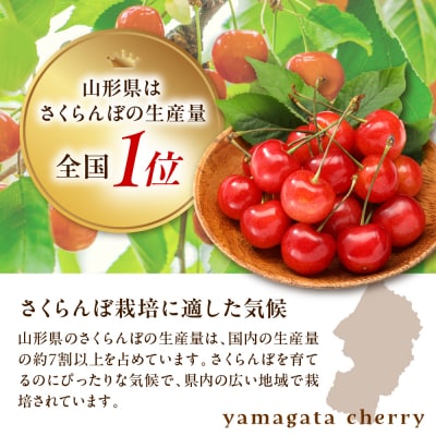 【先行受付】 令和8年産 さくらんぼ やまがた紅王 紅秀峰 詰合せ 各200g 計400g