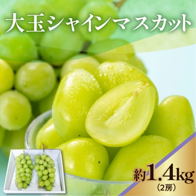 《先行受付/令和7年産》数量限定 大玉シャインマスカット2房1.4kg 2025年9月中旬頃～お届け