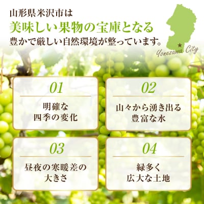 【先行予約】 【数量限定】 令和8年産 大玉 シャインマスカット 2房 1.4kg