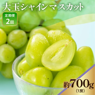 【先行予約】 【定期便】 令和8年産 大玉 シャインマスカット 1房 ( 700g ) × 2回