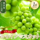 《先行受付》令和7年産 プレミアムシャインマスカット 1房(約800g)