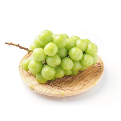 【先行受付】 令和8年産 プレミアム シャインマスカット 1房(約800g)