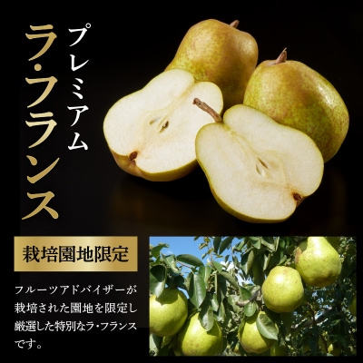 【先行受付】 令和8年産 プレミアム ラ・フランス 約2kg 4玉 ～ 7玉