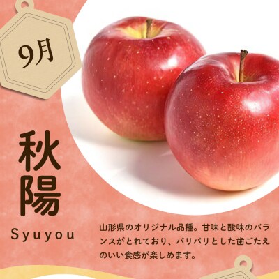 【先行受付】 令和8年産 りんご 秋陽 約2kg 6玉 ～ 8玉