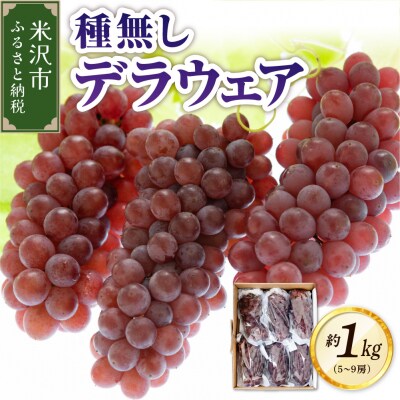 【先行受付】 令和8年産 ぶどう 種無し デラウェア 約1kg 5房 ～ 9房