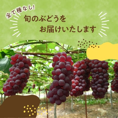 《先行受付》【令和8年産】種無し デラウェア 1kg(5～9房)〔2026年7月下旬～お届け〕